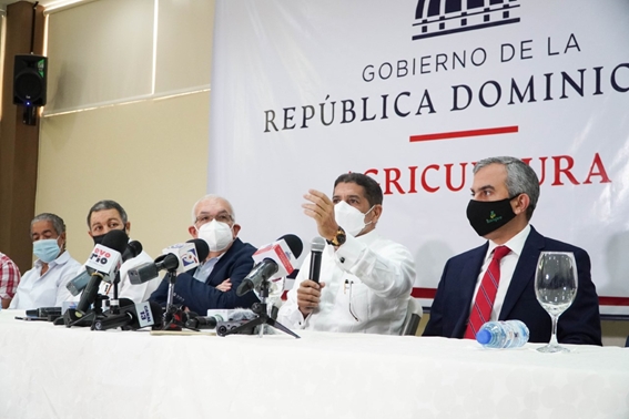 Gobierno comprará 100 mil quintales de cebolla para estabilizar el precio del producto 