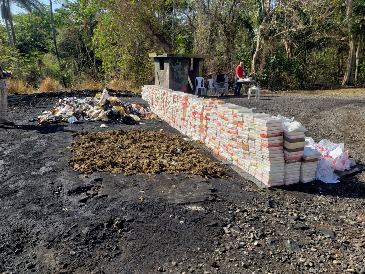 Autoridades incineran 2.4 toneladas de drogas ocupadas en última&nbsp;semana