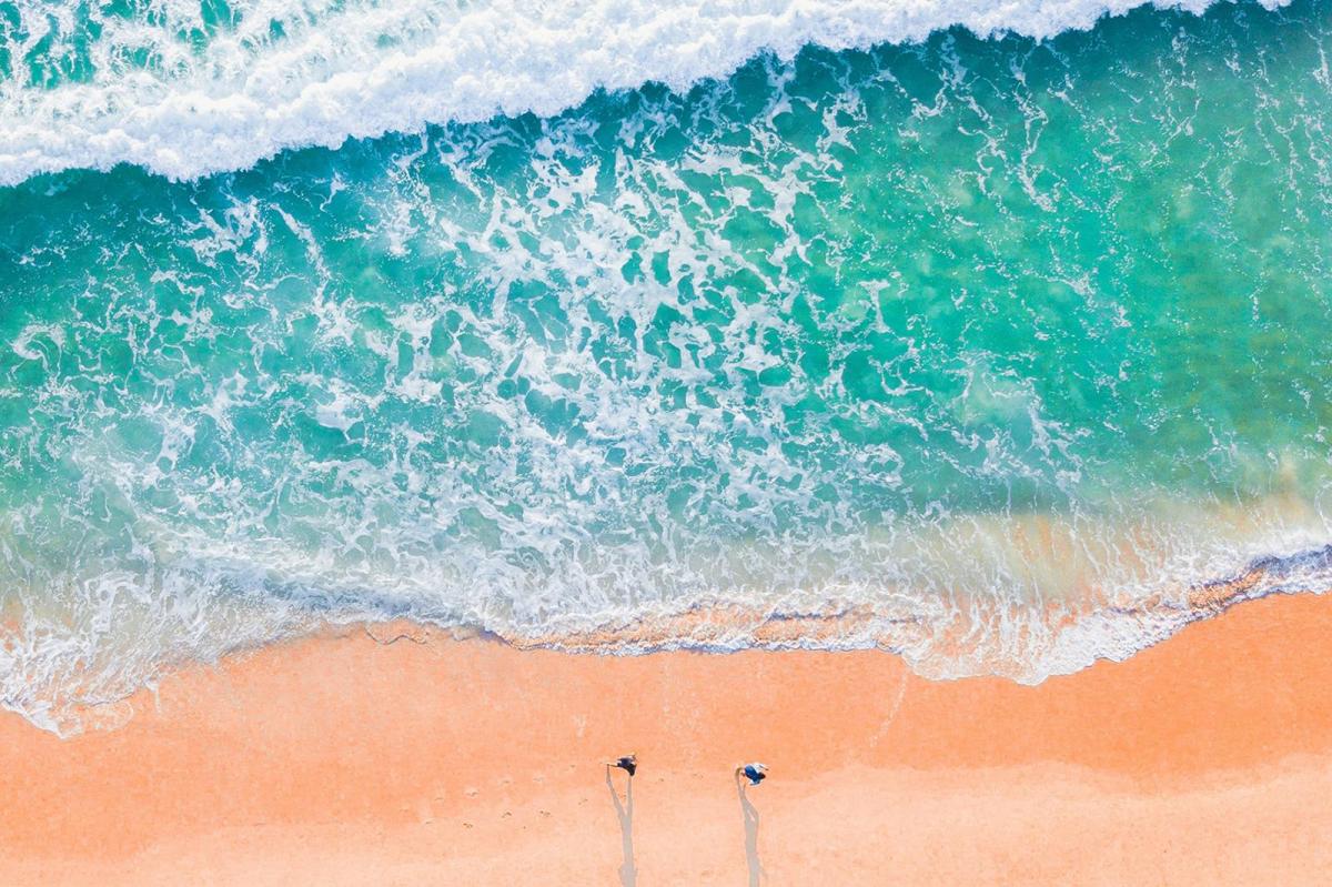 Atribuyen la gran inversión extranjera en el país a&nbsp;Confotur