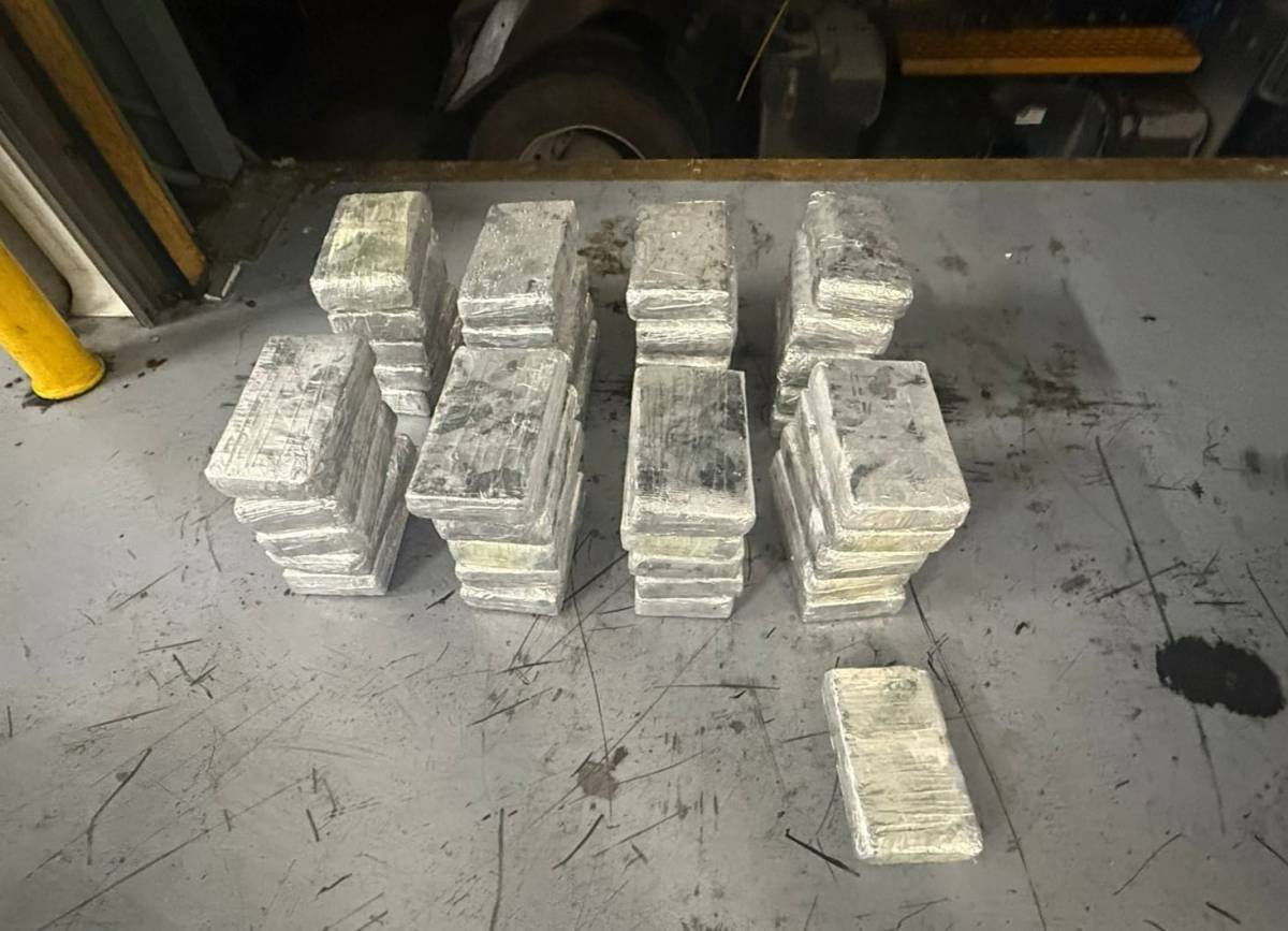 Puerto Caicedo: DNCD frustra envío de 41 paquetes de Cocaína a&nbsp;Bélgica