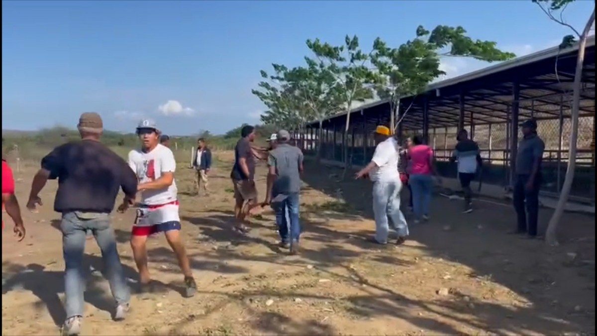 Campesina denuncia presunta complicidad de funcionarios en invasión de tierras en&nbsp;Montecristi
